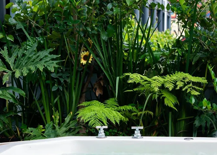 Puerta Roja En La Colonia Roma Jacuzzi *